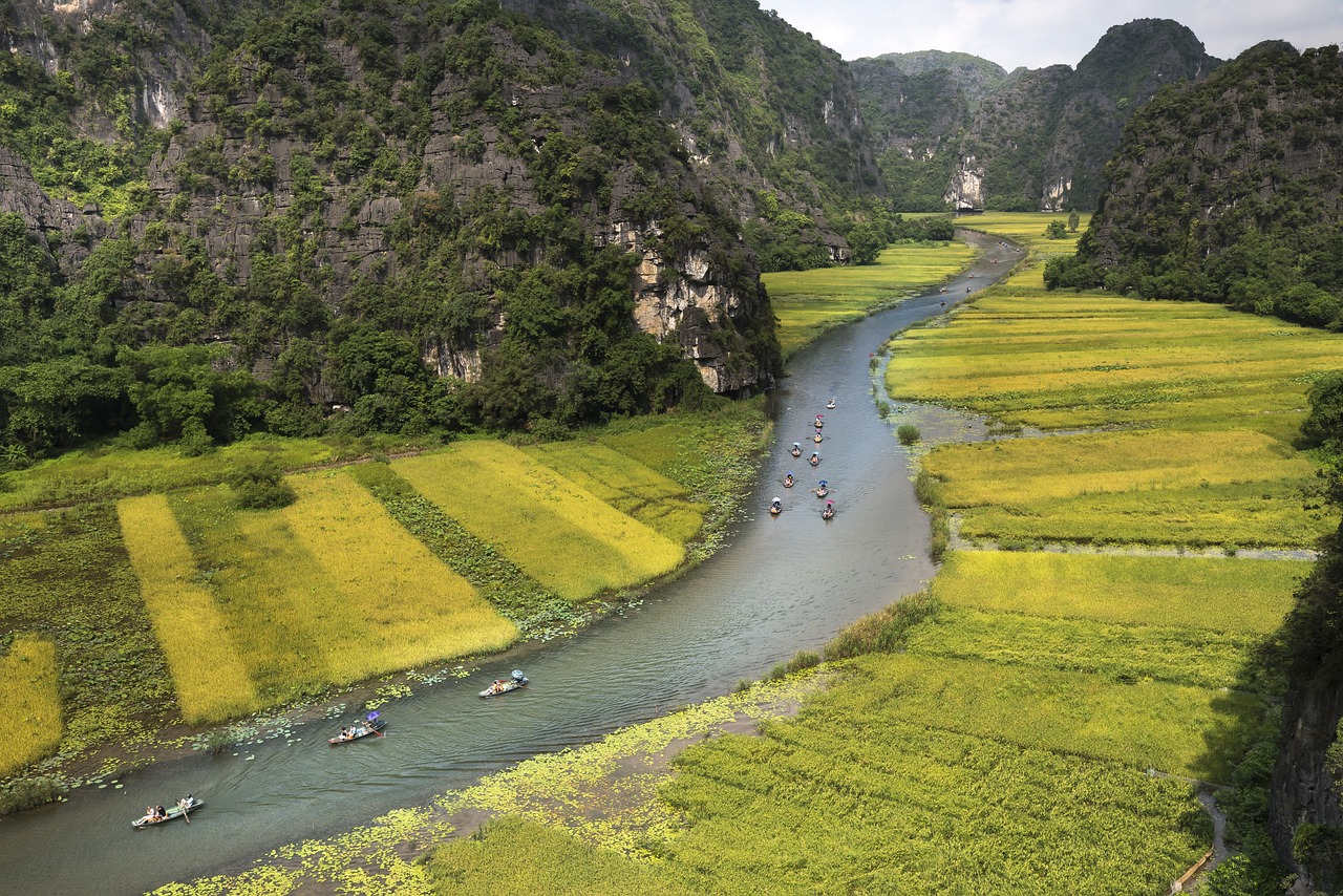 青云志3最新动态，期待与揭秘的旅程