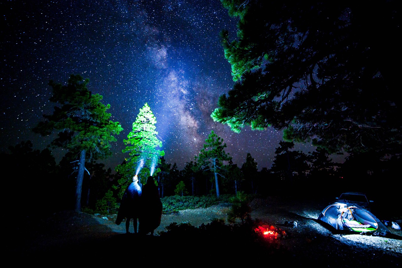 陨落星辰，星际冒险崭新篇章开启