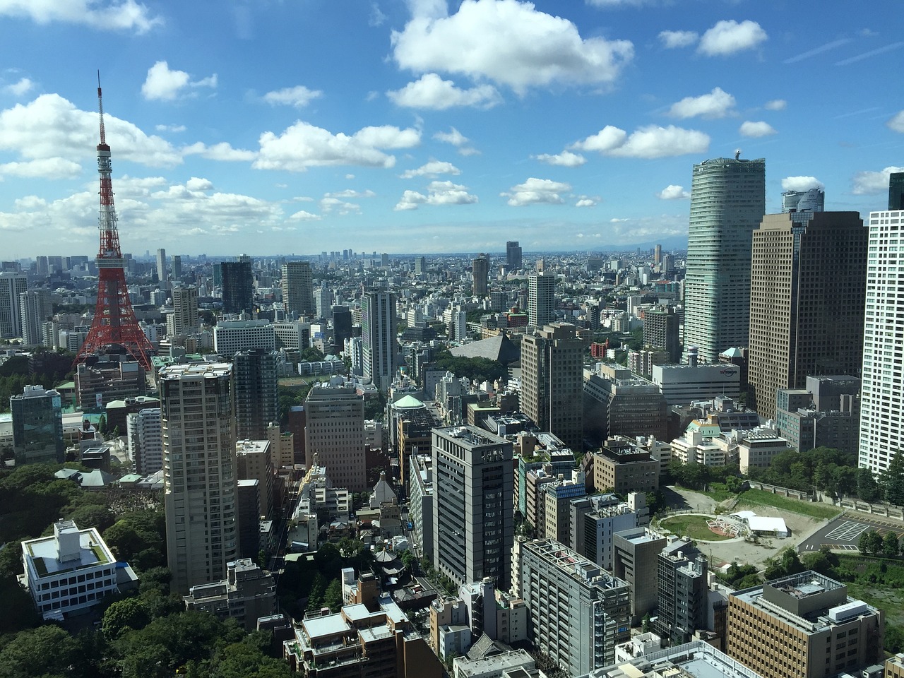 软耳兔兔 第7页