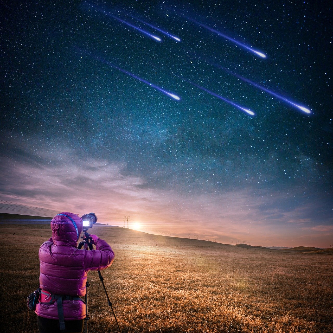 四月邢姓明星闪耀星光大道