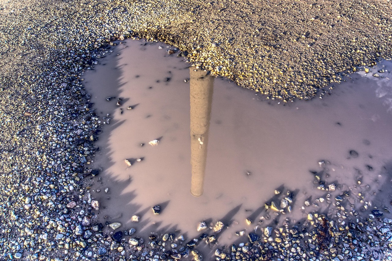广州四月疫情最新动态，观察与解析