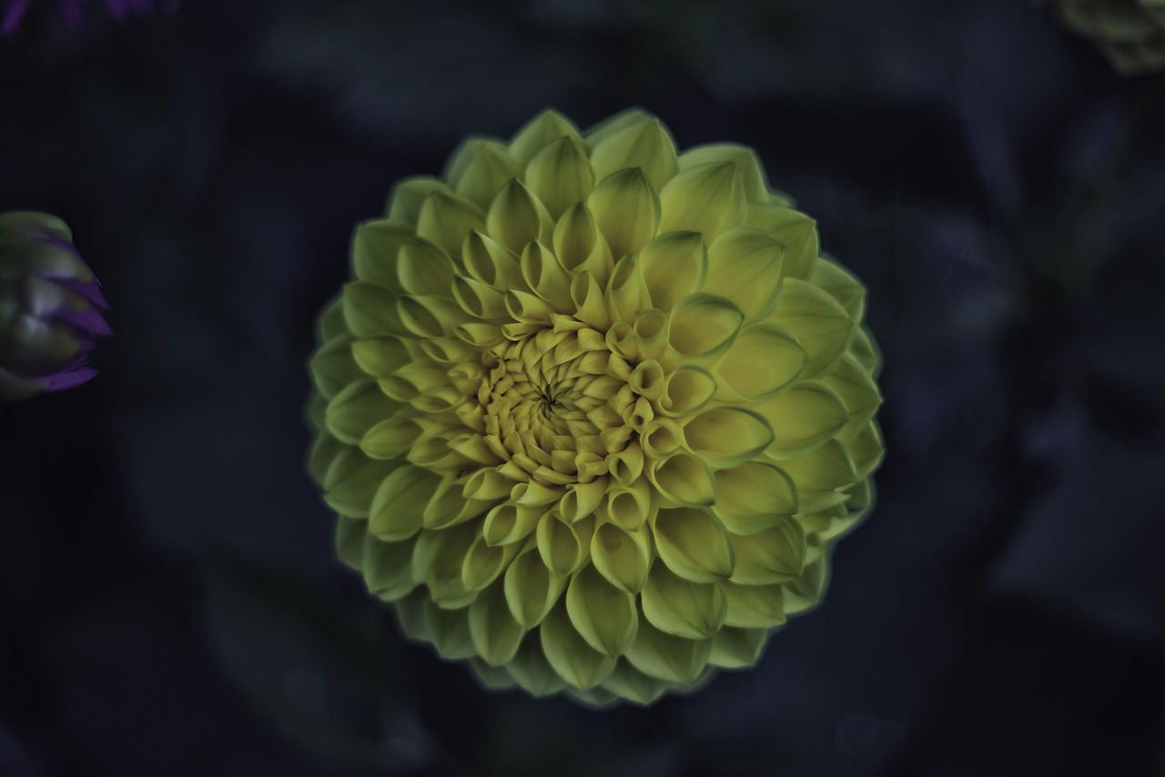 云烟 第6页