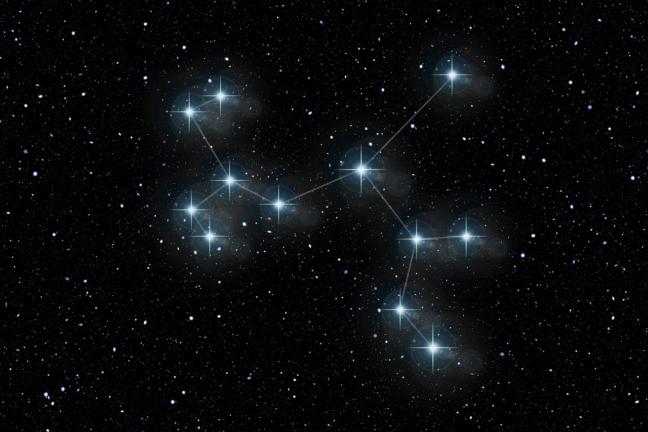 五月明星璀璨之夜，最新投票排行榜揭晓